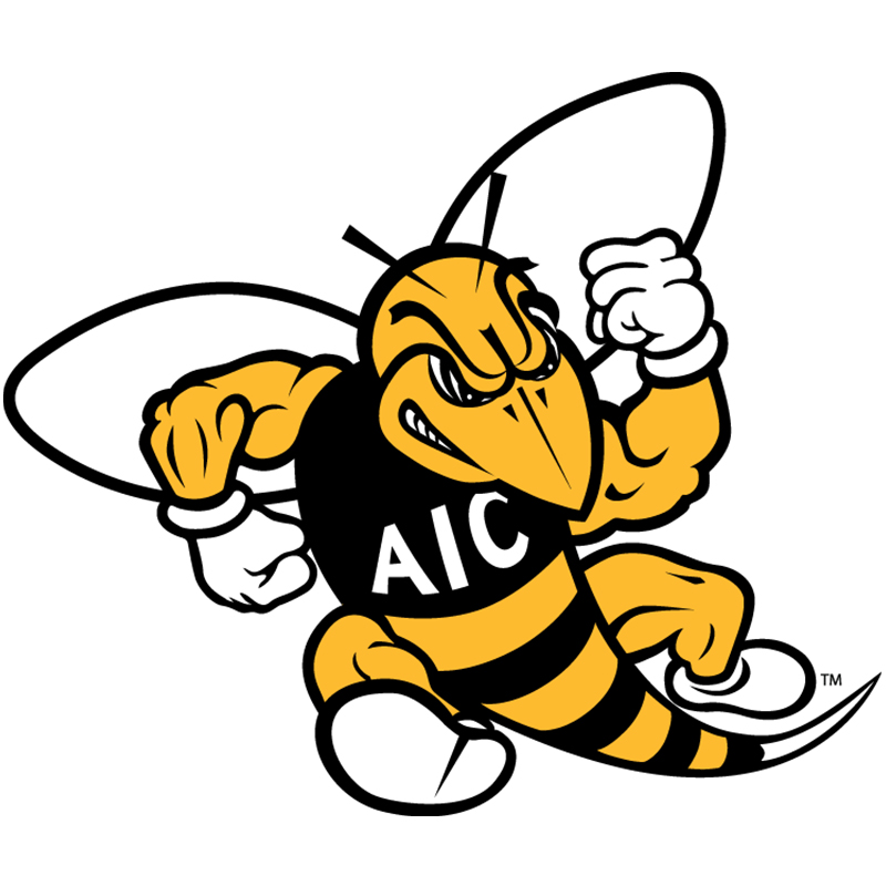 AIC Yellow Jackets iron ons